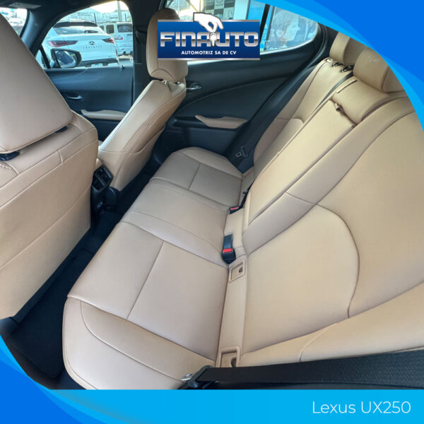 Lexus UX250 - Imagen 11