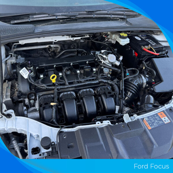 Ford Focus - Imagen 11